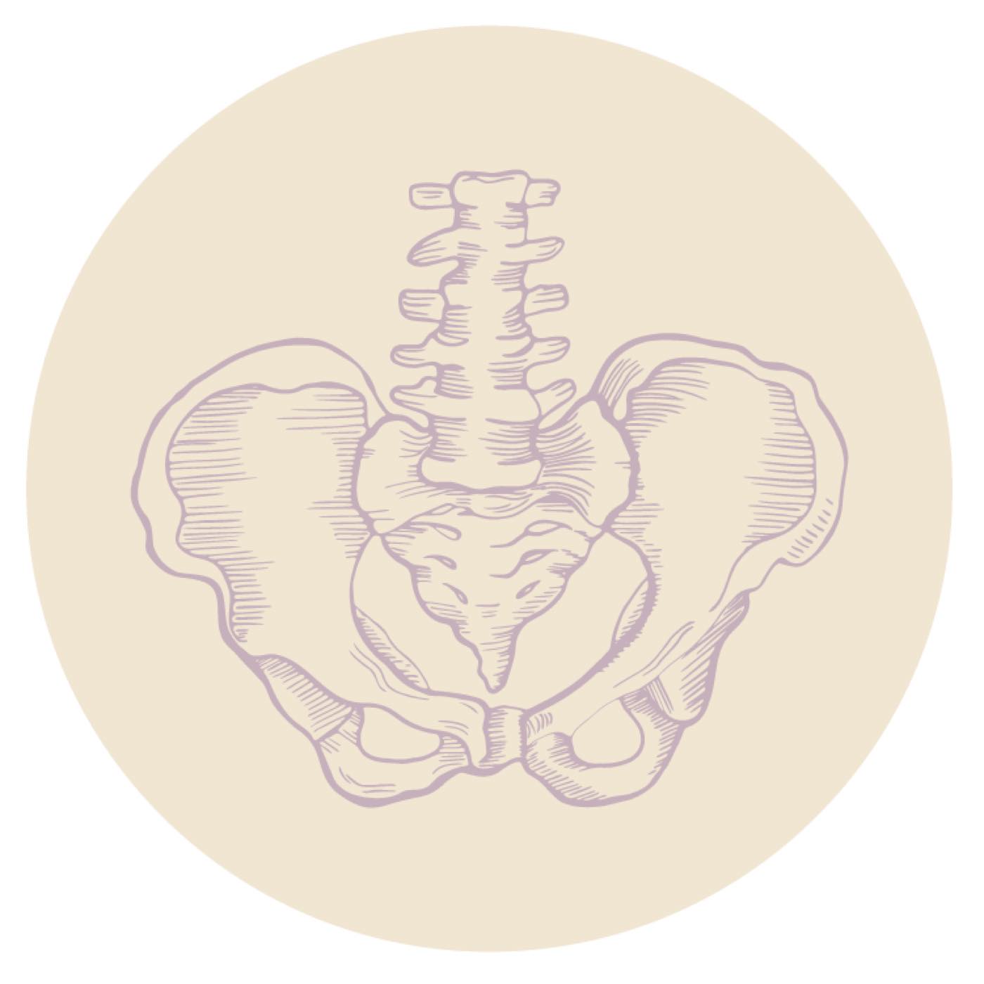 The Educated Pelvis, Columbus Ohio